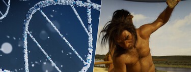 Neanderthals left a deep genetic mark on us. The last example: the sense of pain