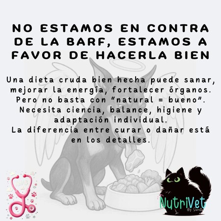 Dieta Barf Perros Riesgos Mala