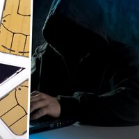 Muchas llamadas spam son posibles gracias a las "granjas de tarjetas SIM". Cuestan miles de euros pero son brutalmente efectivas 