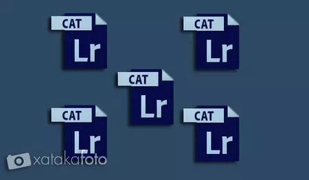 Múltiples catálogos ligthroom 4