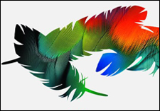 Modificar fotos con Photoshop: videotutoriales