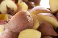 Los viajes de la patata, taller del Museo de América