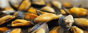 Los mejillones en escabeche de supermercado, de mejor a peor, según la OCU 