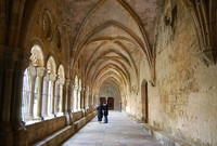 La Catedral de Tarragona vuelve a recibir turistas 