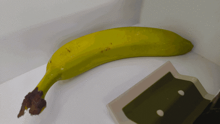 Banana
