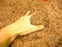 El capital riesgo es, por el momento, terreno casi exclusivo de las pymes 