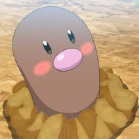 Uno de los spin-off de Pokémon resolvió una de las eternas dudas de la saga al desvelar qué ocultan los Diglett bajo tierra 