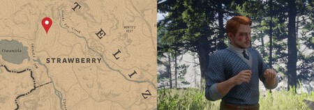 Francis Sinclair Rdr2