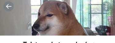 Cómo crear listas personalizadas en Twitter para Android