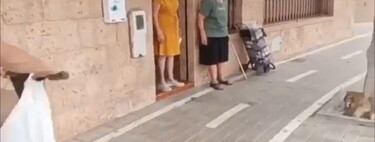 Le ponen un carril bici en la puerta de su casa y la solución para que pueda salir es... ¡un paso de peatones! 