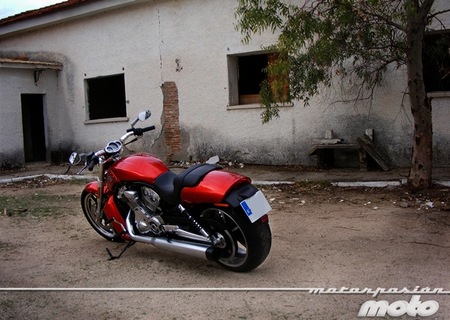 H-D V-Rod Muscle