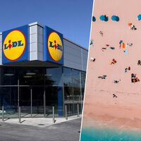 Lidl lanza hoy unas sombrillas muy originales por menos de 7 euros para protegerte del sol este verano