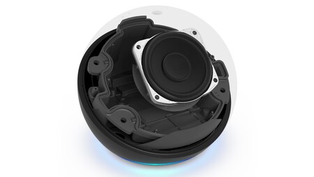 Interior Del Echo Dot