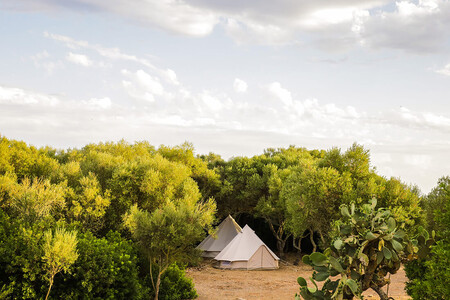Glamping