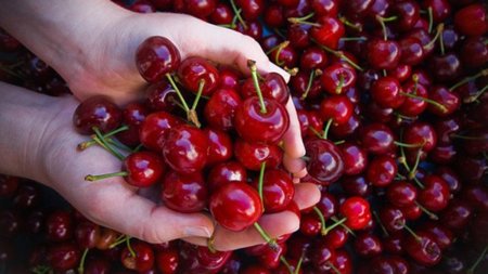 Cerezas: una buena fuente de vitaminas y minerales en verano