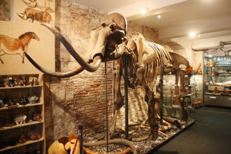 Mamut