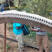 Un anillo metálico de media tonelada cayó del cielo hace más de un año y nadie sabe todavía de dónde vino