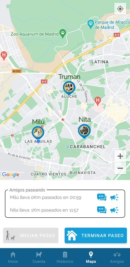 Dappy Dogs Mapa