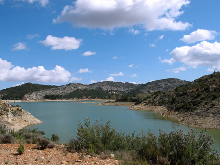 Aragon