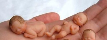 ¿Cuántos hijos pueden tener los donantes de semen u óvulos?