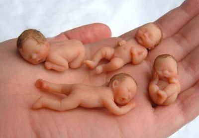 ¿Cuántos hijos pueden tener los donantes de semen u óvulos?
