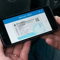 Cómo descargar la cédula verde digital argentina 