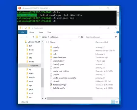 Windows エクスプローラー内の Linux ファイル - WSL 1
