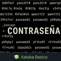 Cómo saber si tus contraseñas se han filtrado en Internet