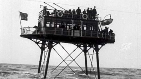 Volk Daddy Long Legs 3