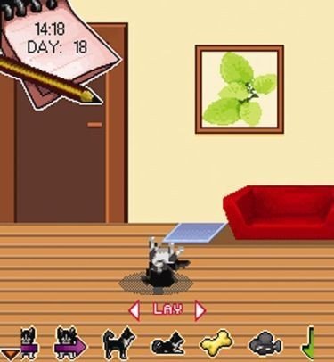 My Little Dogs, Movistar colabora con "El Refugio"