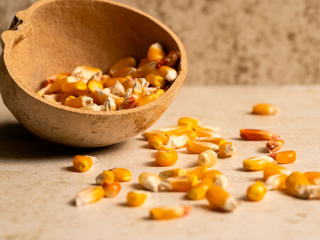 Maiz Conico Amarillo Del Estado De Mexico Uno De Los Protagonistas De Sus Tortillas