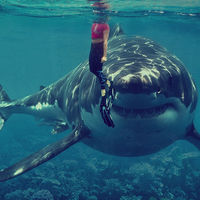 Así traslada la administración sus obligaciones a las empresas para que hagan su trabajo 