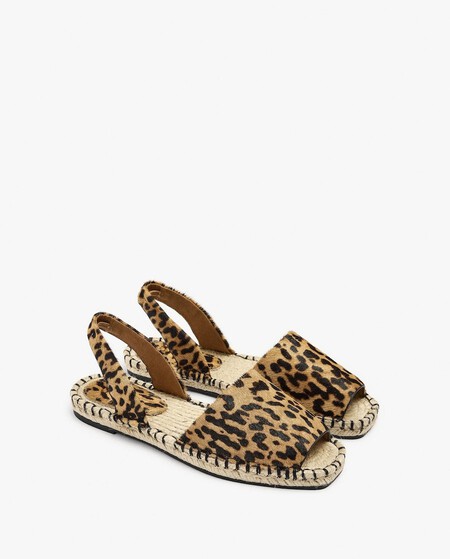 Www 5608348832298 02