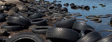 En 1990, EEUU lanzó neumáticos viejos en sus canales de hormigón. Los peces se multiplicaron por 20 en los arrecifes artificiales