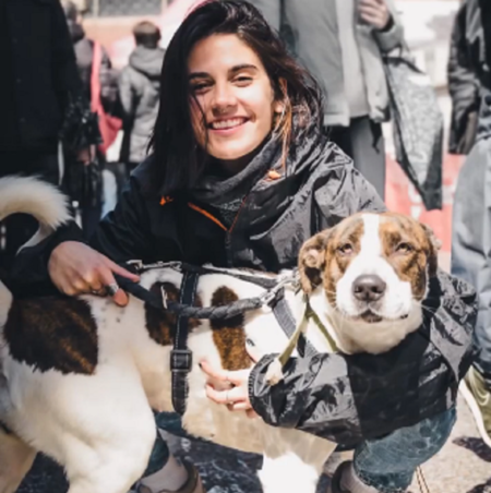 Terrassa protectora CAAD perros