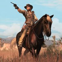 Todos los desafíos de tirador de Red Dead Redemption y cómo completarlos