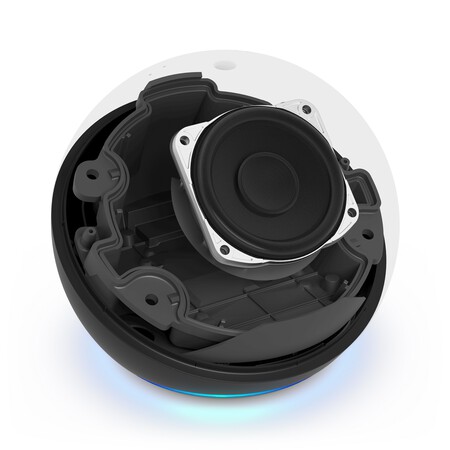 Echo Dot Rend Negro X Ray Rgb