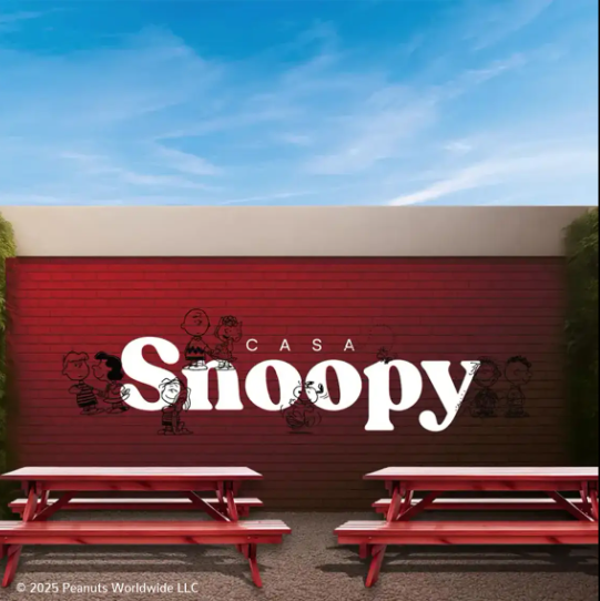 Llega a CDMX Casa Snoopy, la única cafetería oficial de Peanuts en ...