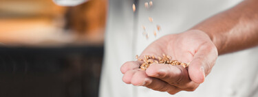 La semilla para incluir en tu dieta que ayuda a regular el colesterol y reducir el azúcar en sangre
