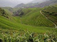 China: las terrazas de Longji o la Columna del Dragón