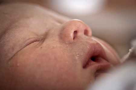 Los recién nacidos aprenden el olor de su madre para alimentarse