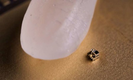 Se crea el "ordenador" más pequeño del mundo y un grano de arroz parece gigante a su lado