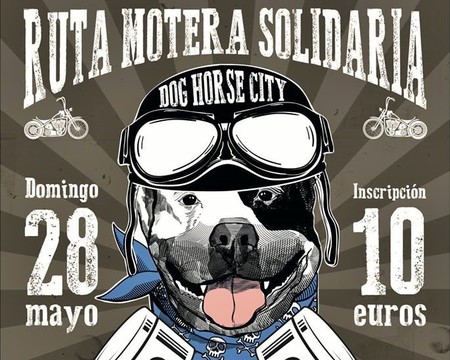 ¡No seas perro! Puedes montar en moto y ayudar a los animales abandonados al mismo tiempo el 28 de mayo