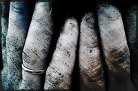 ¿Es el fin del ajuste secundario o me estoy volviendo loco?