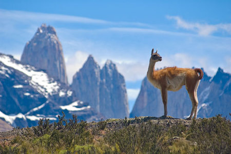 Torres del Paine