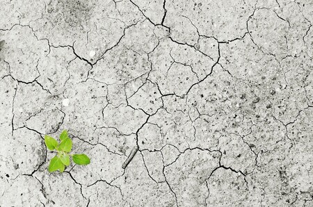 Y Por Fin China Deja De Ponerse De Perfil Y Asume Debidamente Su Responsabilidad Mas Verde Con El Cambio Climatico 4