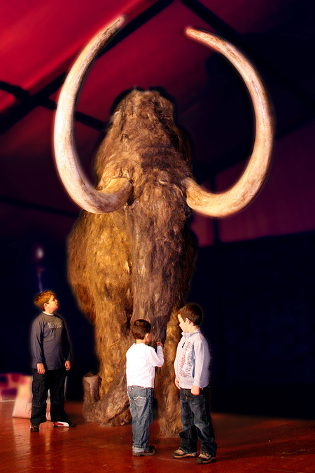 Dino Expo Xxl