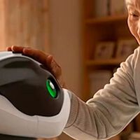 Ni trail ni deportiva. Lo último de Kawasaki es un perro robot con IA que quiere salvar a Japón de su mayor problema: el envejecimiento 