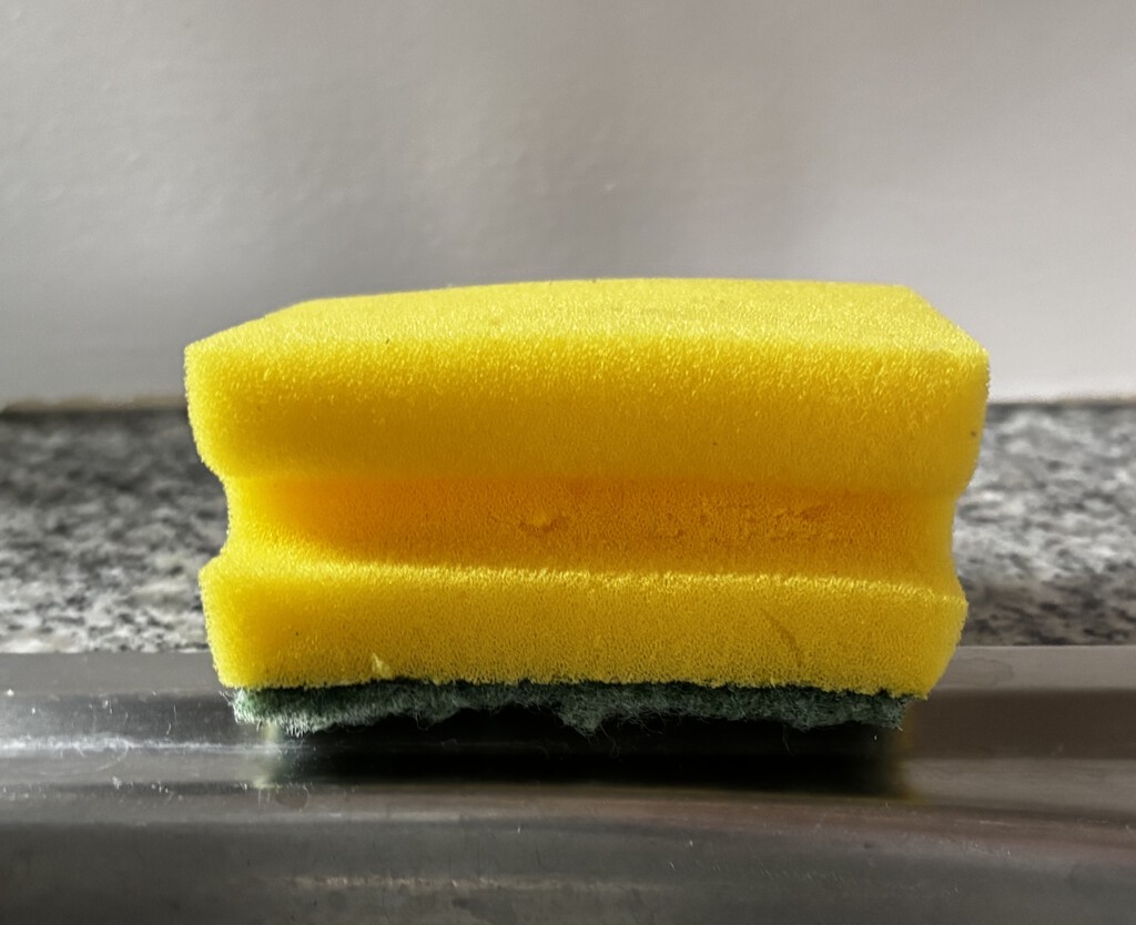 Un simple gesto basta para mantener las esponjas limpias durante más tiempo y preservar la higiene de la cocina 