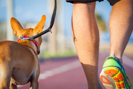 El perro, el mejor amigo del corazón